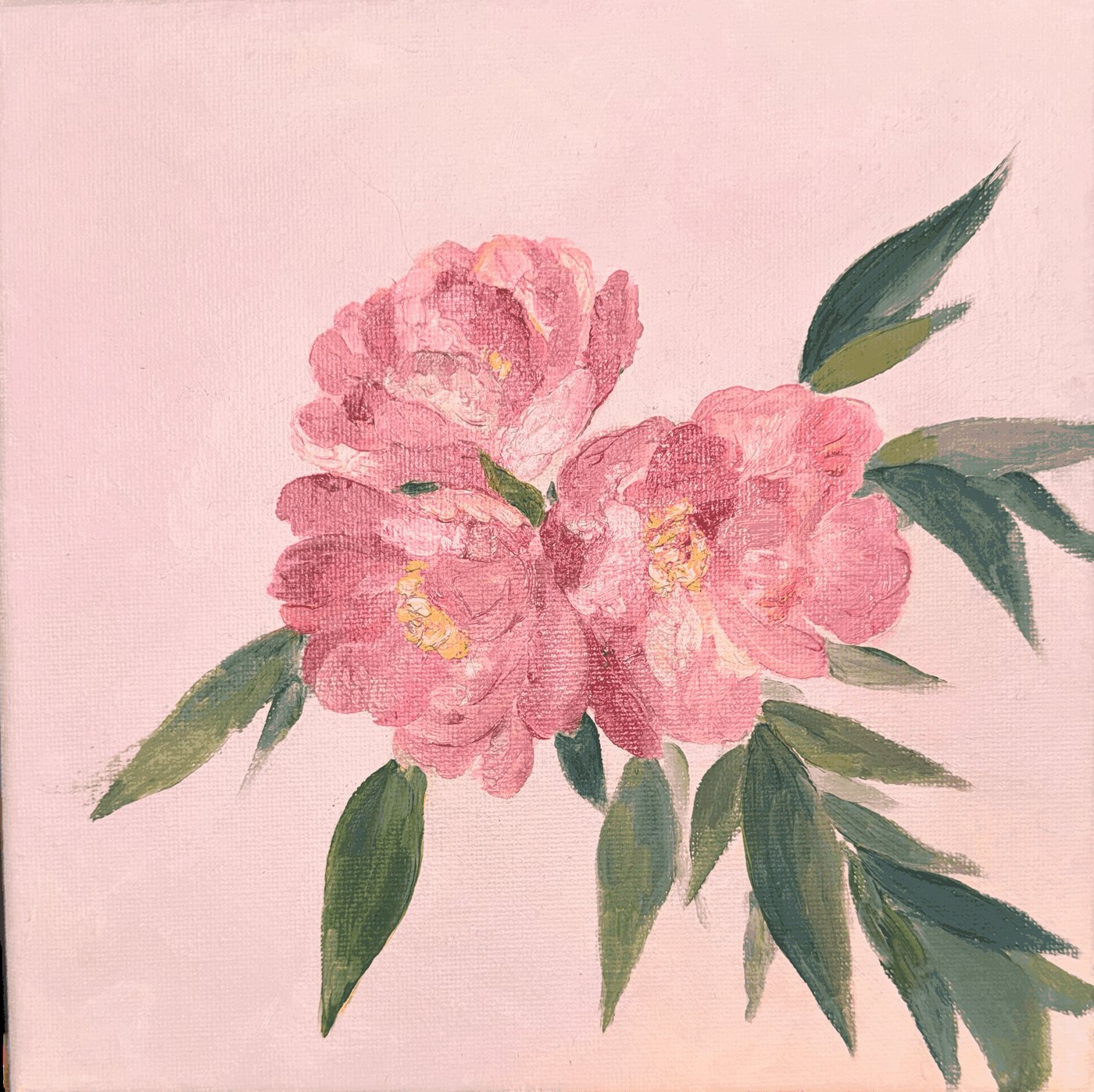 Peonies