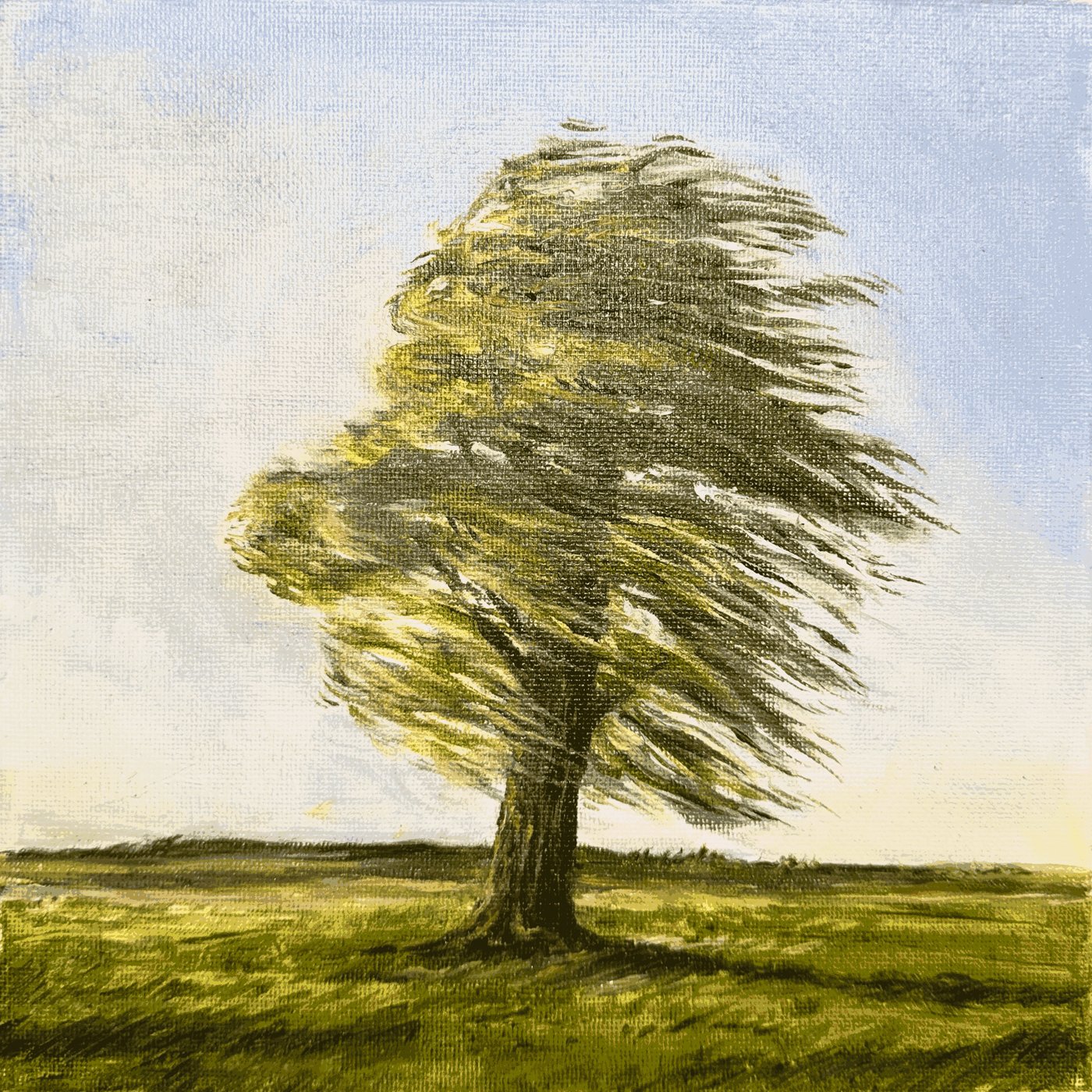 Windswept Tree